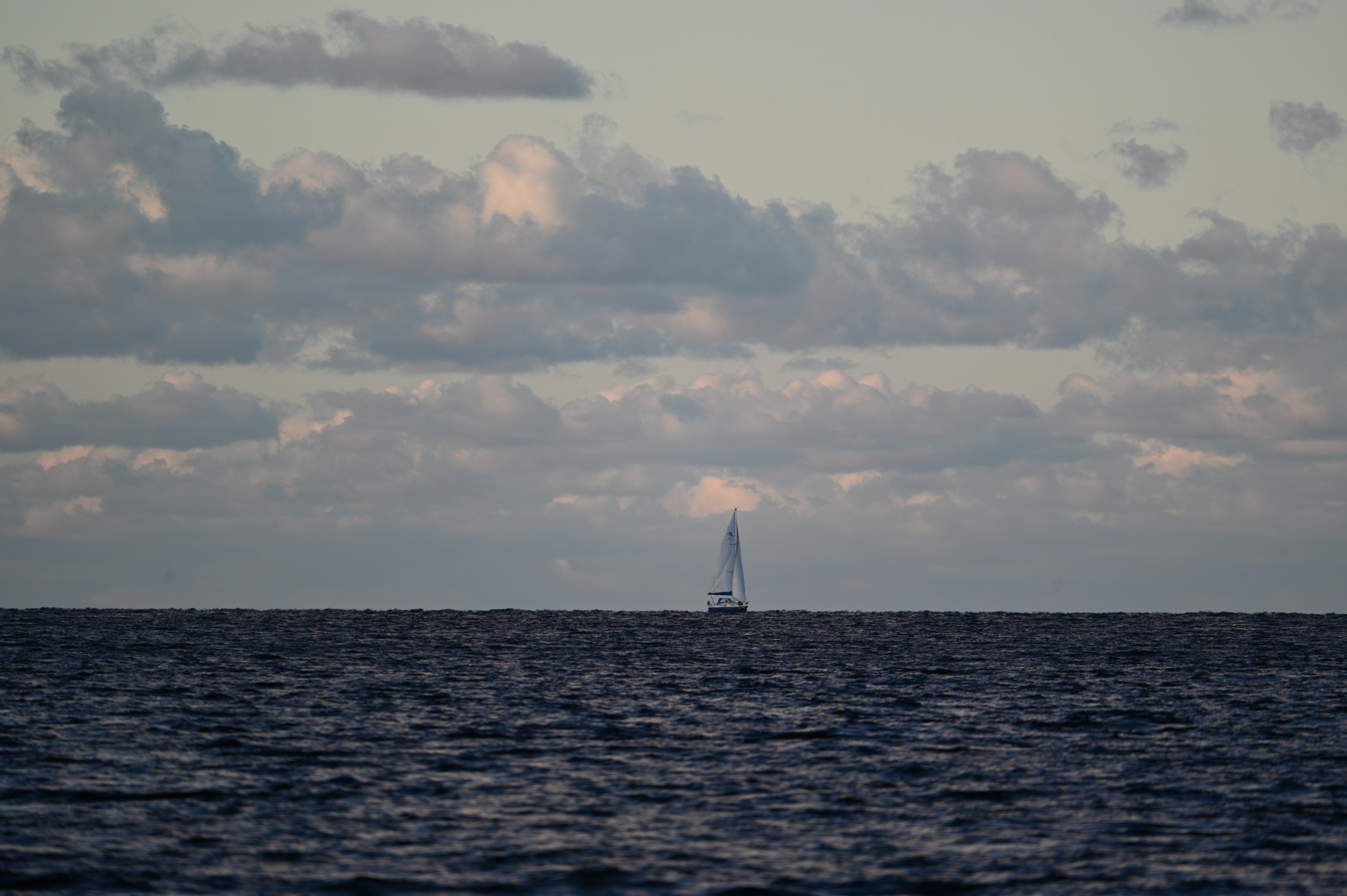 2025/10/18 - walk/DSC_0239.JPG